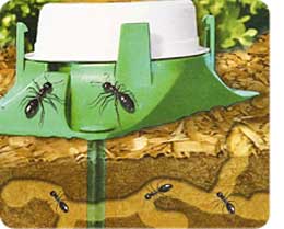 ant-poison-outdoor
